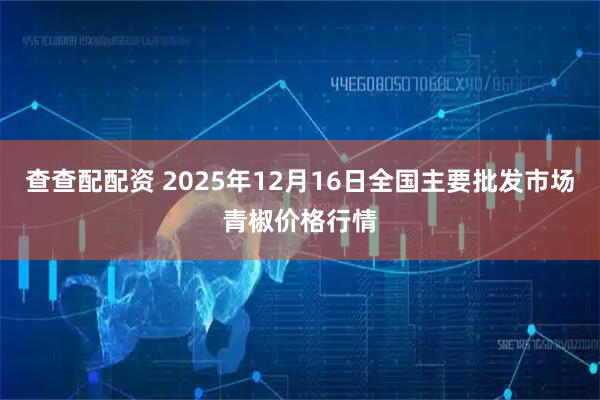 查查配配资 2025年12月16日全国主要批发市场青椒价格行情
